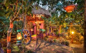 Evergreen County Retreat-India'S First Adventure Veg Retreat